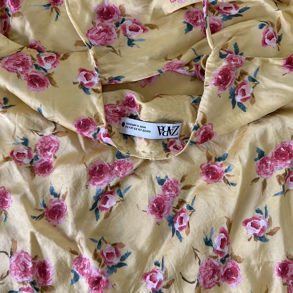 Zara Spring Dress - Picture 3 of 3